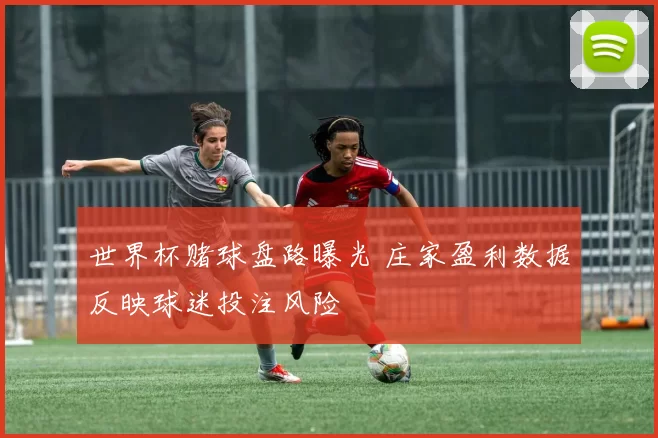 世界杯赌球盘路曝光 庄家盈利数据反映球迷投注风险