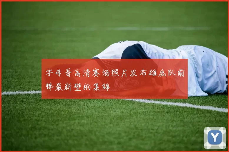 字母哥高清赛场照片发布雄鹿队前锋最新壁纸集锦