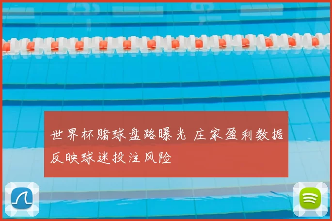 世界杯赌球盘路曝光 庄家盈利数据反映球迷投注风险