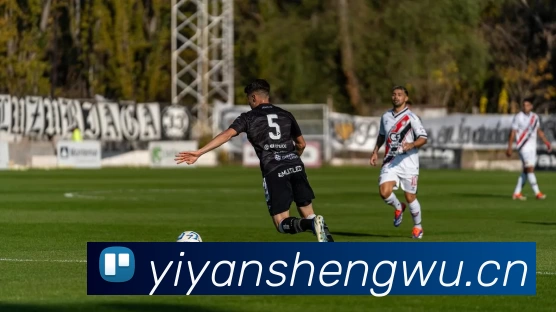 辅助工具 辅助工具